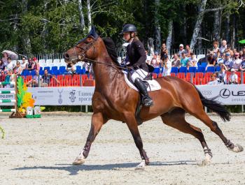 Кубок Ельцина по конкуру стал праздником