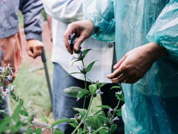 И в непогоду: свобода творчества в Саду трав
