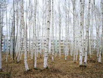 Выставка «Новый пейзаж». Виртуальный тур