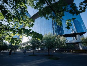 О недостоверной информации по поводу выставки Ван Гога