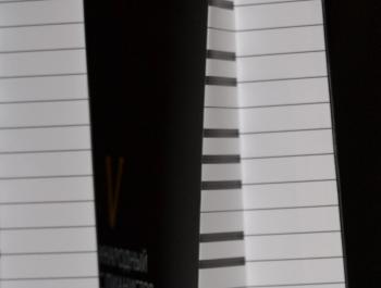 Лучший памятник Вере Лотар-Шевченко – конкурс ее памяти