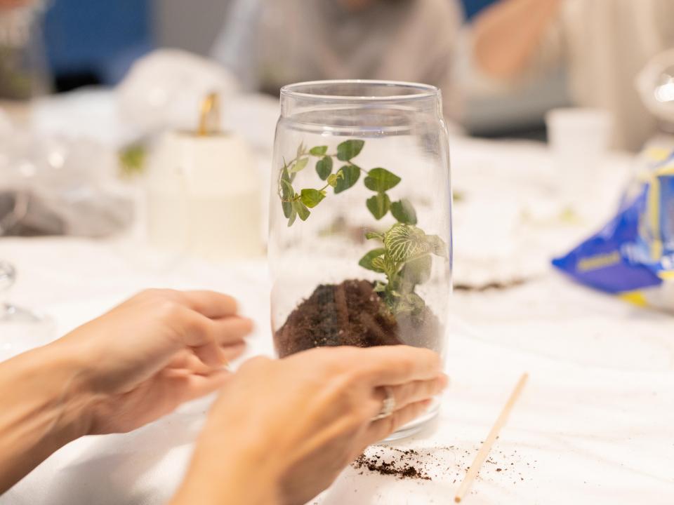 Искусство быть свободным