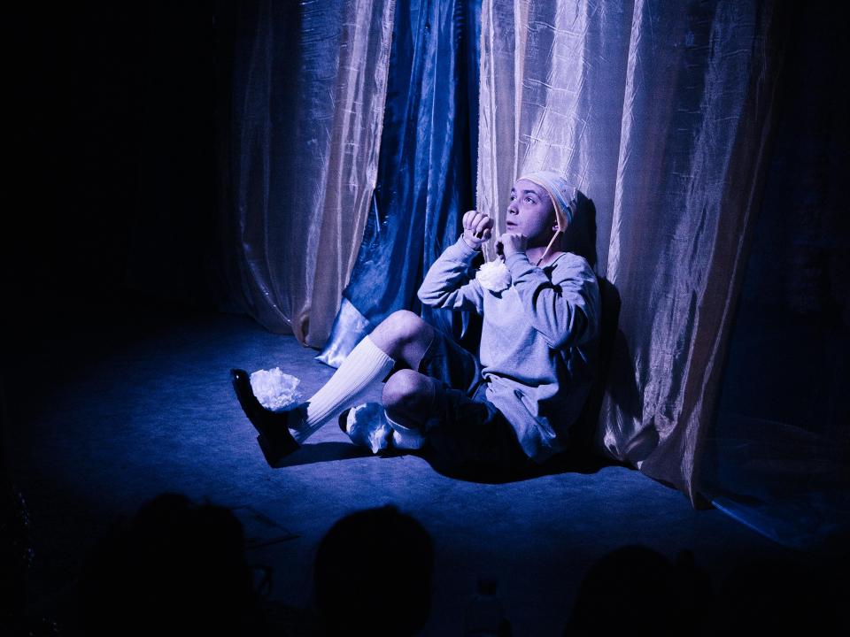 Новогодние приключения львёнка и его друзей