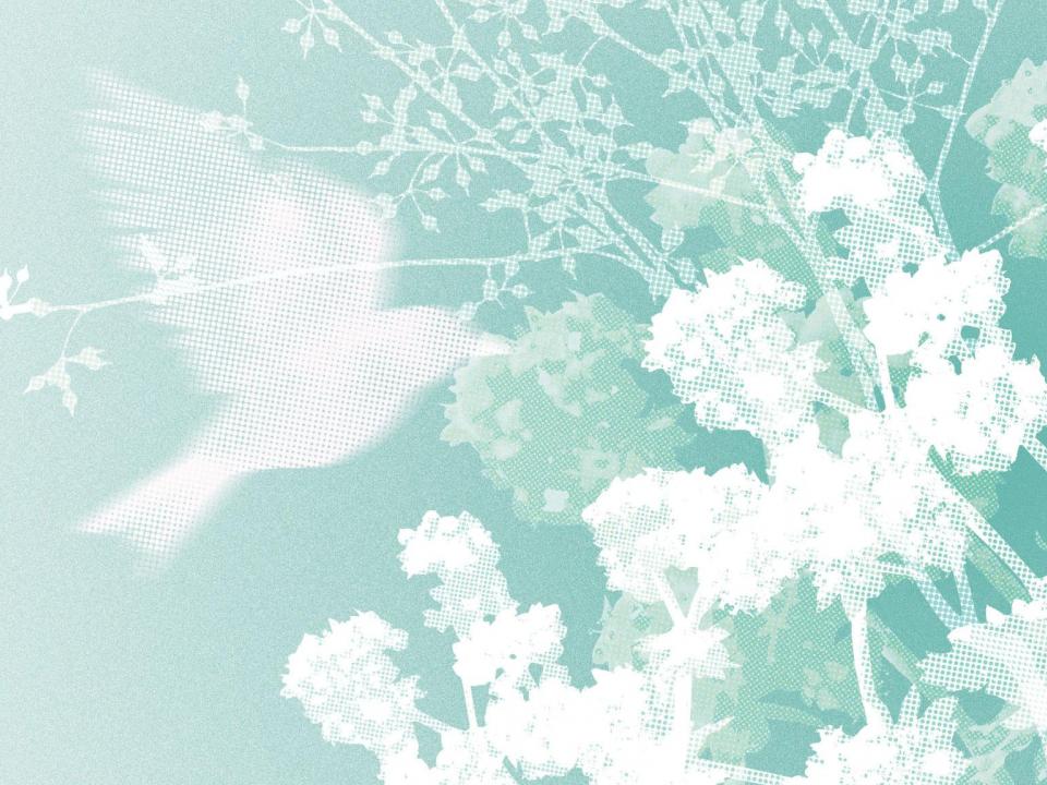 Праздничная программа Ельцин Центра к 8 Марта